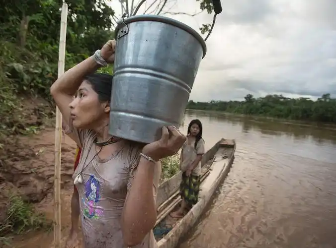 直击亚马逊丛林里土著人的真实生活刀耕火耘整天吃山珍野味