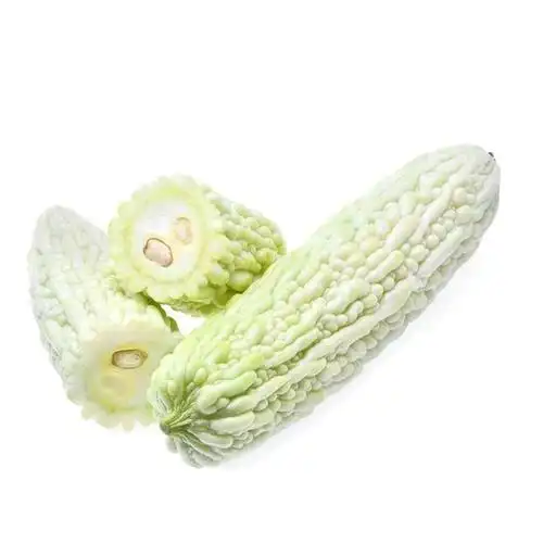 赤卉早熟白苦瓜种子春秋易种苦瓜蔬菜种籽高产肉厚苦味中等白疙瘩苦瓜