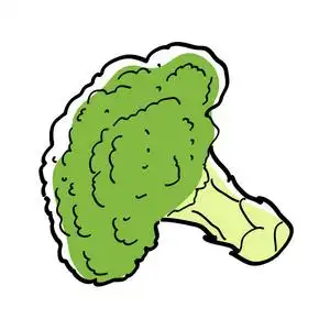 手工绘制的西兰花部分照片