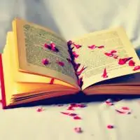 唯美复古书籍个性头像图片