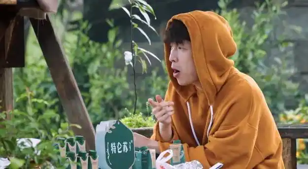 杨紫说张艺兴算命,当他亮出杨紫的牌时,结果尴尬|黄磊|黄渤|乐器