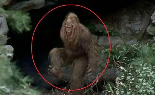 神农架真有野人出没多处禁止人类靠近究竟在隐藏什么