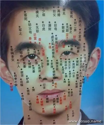 脸上长痣面相图,男人脸上长痣,女人脸上长痣