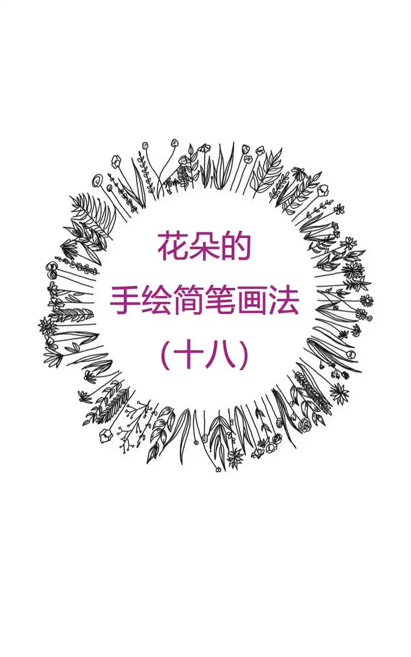 花朵的手绘简笔画教程十八