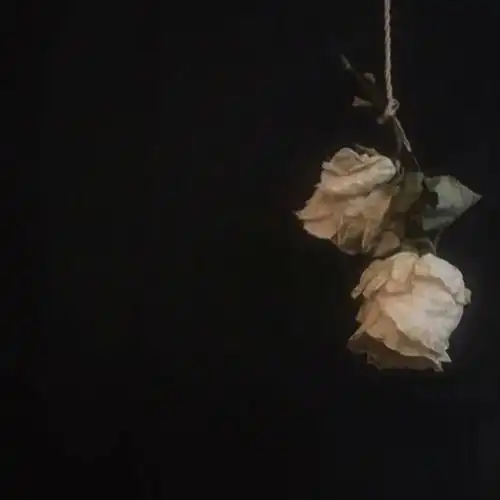 ins风【神仙背景图】