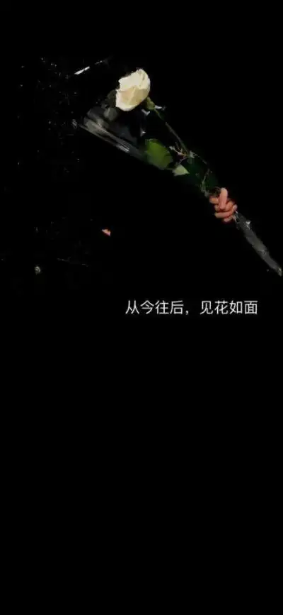 抖音手机壁纸两张