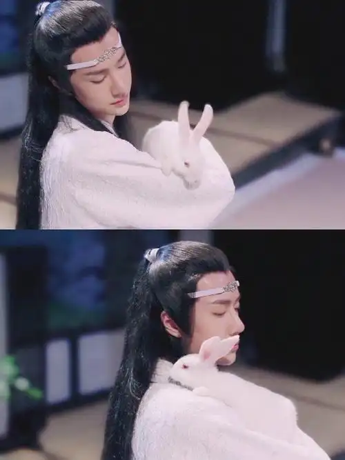 提问:蓝湛抱兔子的路透龟龟们正片里看到了吗?