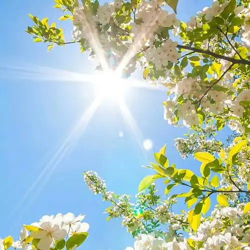 朋友圈背景图##微信背景图##qq背景图