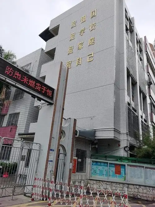丽群小学孩子们梦的出发点