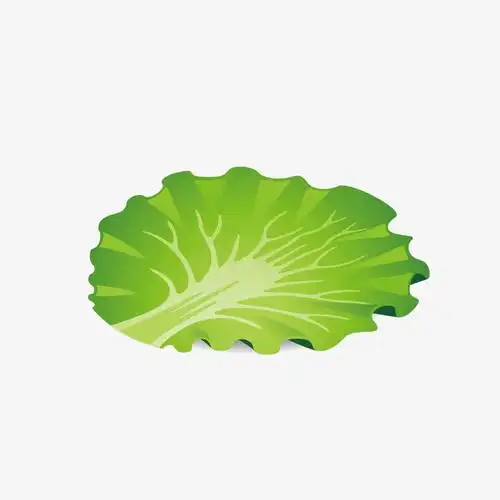 卡通手绘绿色的菜叶
