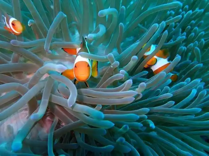 最深的感受就是——整个海洋都属于我