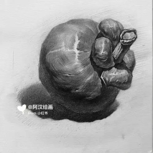 素描单个山竹完整步骤教程分享