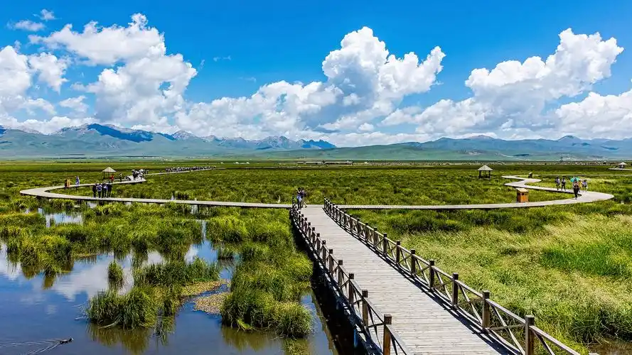 四川若尔盖花湖风景桌面壁纸图片