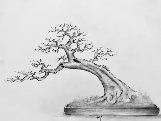 手绘盆景设计图