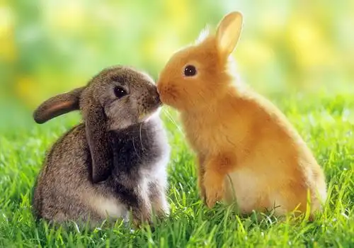 在线设置情侣网名在哪里设置情侣网名