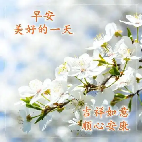 秋天最美的早安祝福图片微信早晨问候语表情