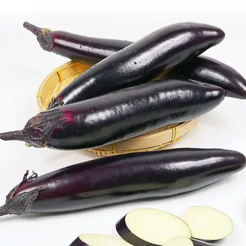 【新鲜茄子】云南长茄子新鲜蔬菜水果露天现摘大茄子