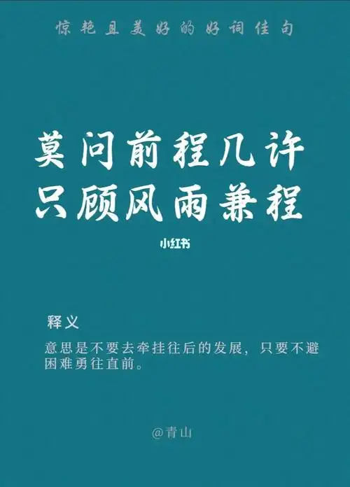 好词好句积累只顾风雨兼程