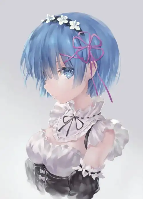 雷姆壁纸系列-第10期