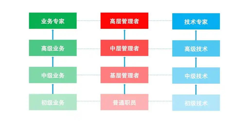 纵向职业发展:管理岗位,技术岗位,业务岗位横向职业发展:职位调整