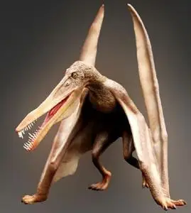 翼手龙[pterodactylus]侏罗纪晚期的翼龙类,翼手龙中间一些种体型大小