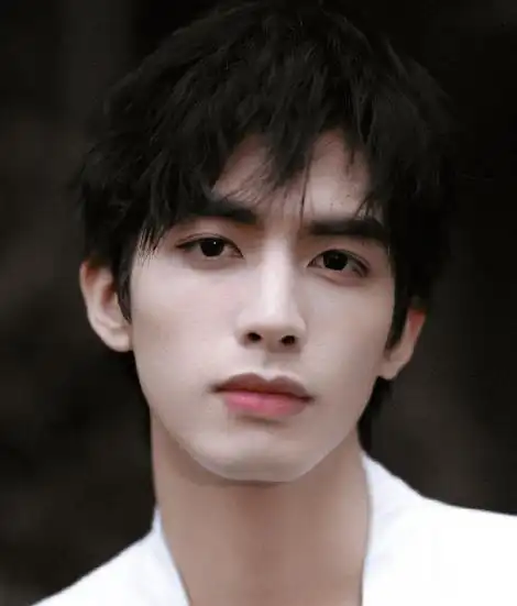 内娱男明星颜值排行(娱乐圈四大浓颜系帅哥)