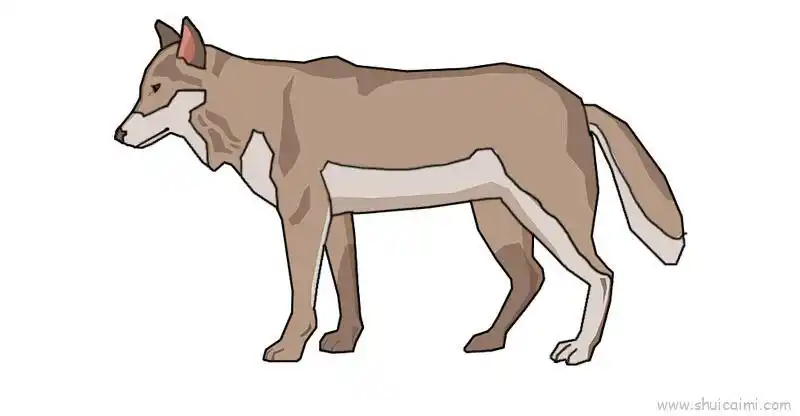 狼儿童画怎么画狼简笔画顺序