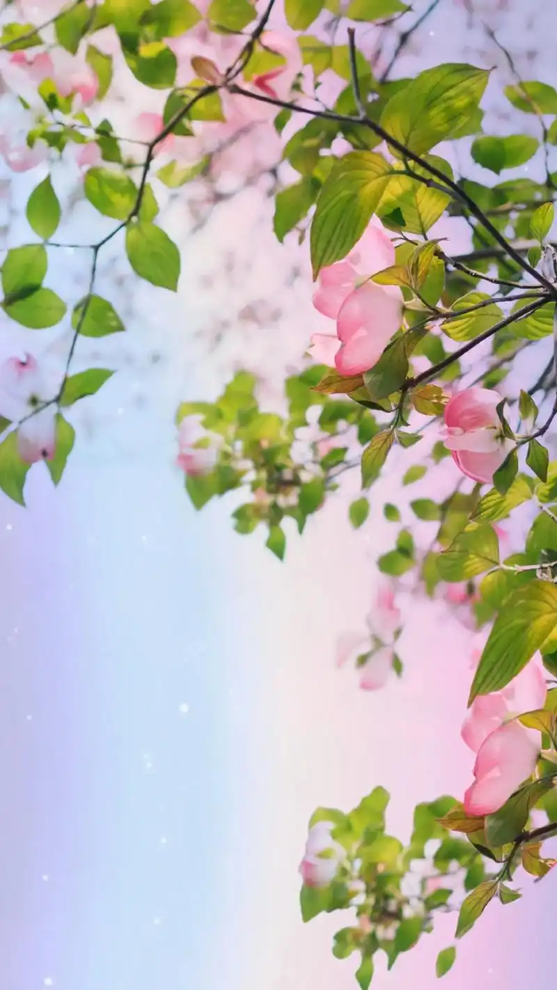 但愿春日安好,往后尽是鲜花烂漫#壁纸#花#绿色#护眼#抖音图 - 抖音