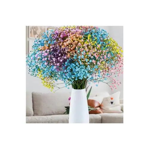 莱杉花瓶/花艺报价_参数_图片_视频_怎么样_问答-苏宁易购