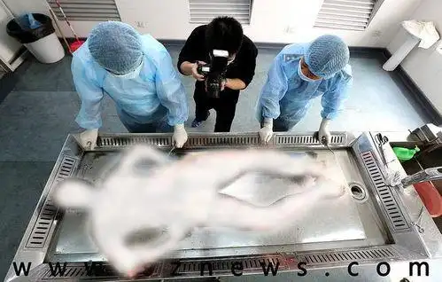 法医解剖女性尸体视频 - 搜狗图片搜索