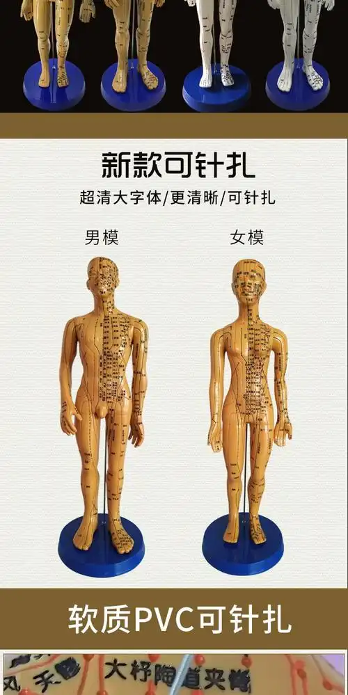 人体经络穴位模型中医用铜人模型全身男可扎针模女模医用教学模型经络
