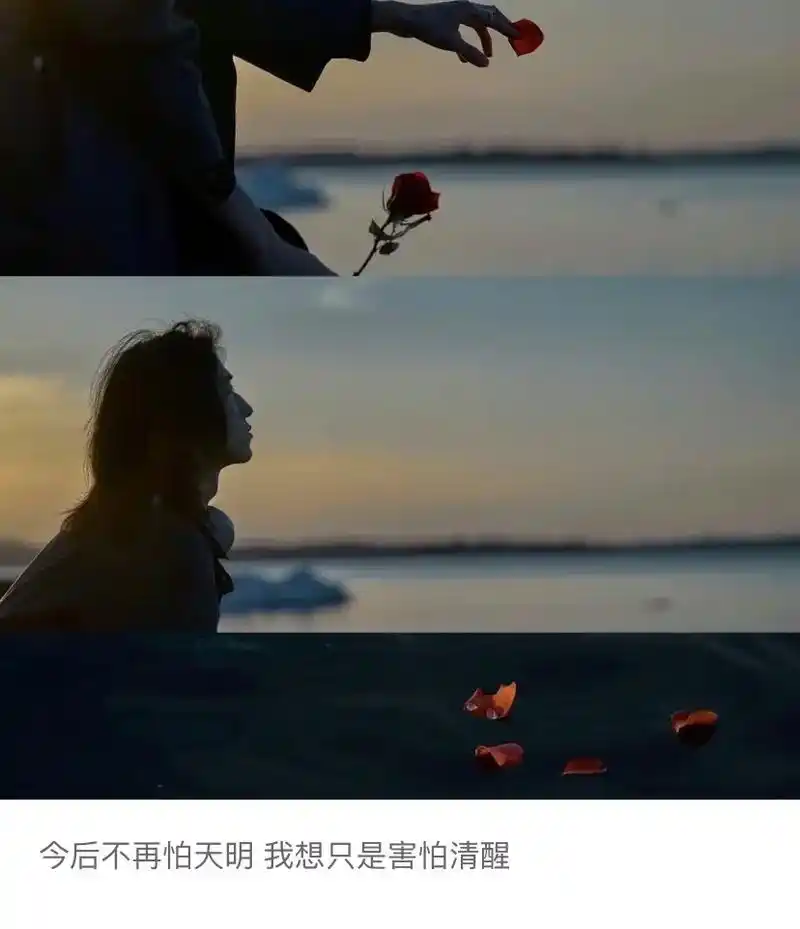 可私拿走原图 #文案 #她说#网易云音乐 - 抖音