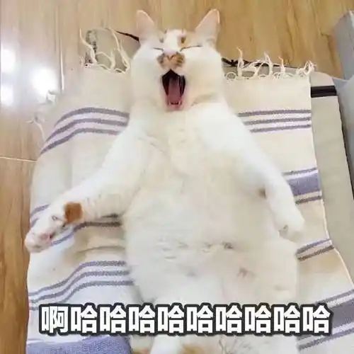 是个狼灭 不但比狠人多三点还横表情包 - 日常表情包