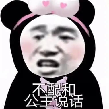 2021逗逼搞笑的熊猫头公主表情包