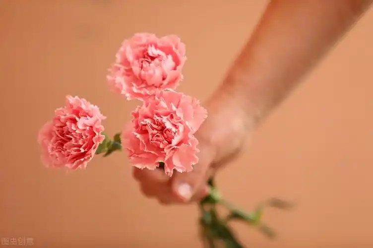 关于母爱的名言 赞美母亲伟大无私的经典好句(2)