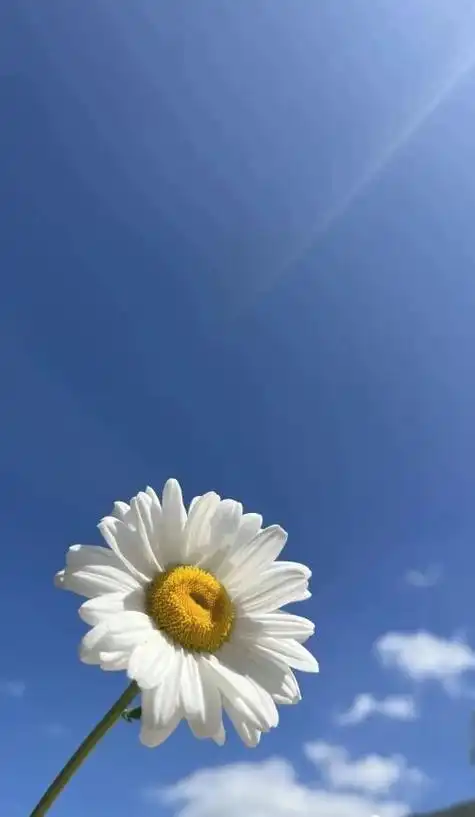 初夏,共赴云屏美好阳光