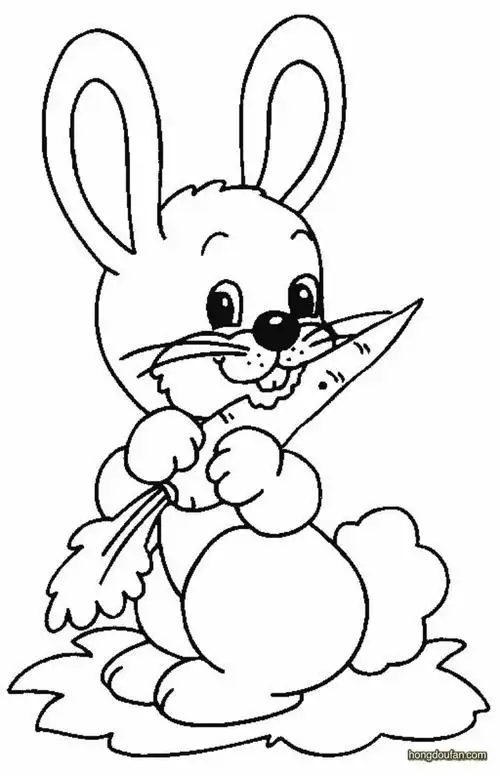 吃胡萝卜的卡通小兔子简笔画大全