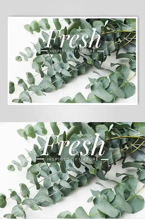 北欧风ins树叶背景宣传海报