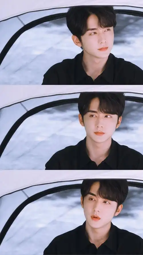 求分享张新成手机壁纸