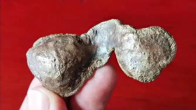 稀少的狗头铜陨石您见过吗