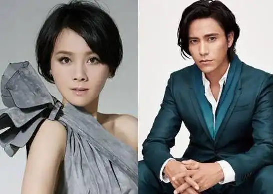 何琳陈坤生子实情,陈坤为什么和何琳分手