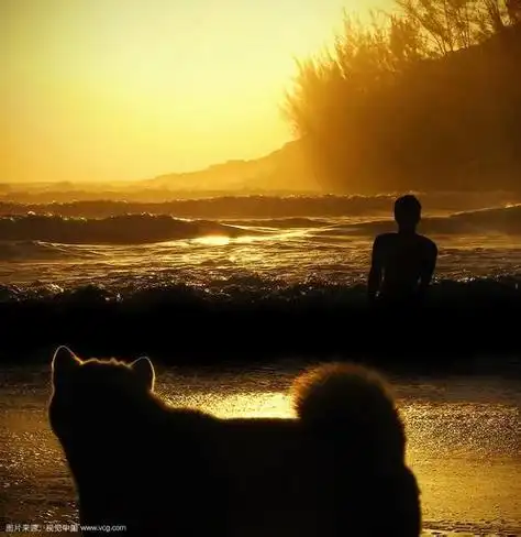 一个人孤独夕阳背影 头像 背影头像图片大全 -【爱个性】