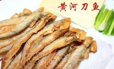 东营 黄河刀鱼 / 利津水煎包 / 黄河口大闸蟹 / 广饶肴驴肉 / 手拉活