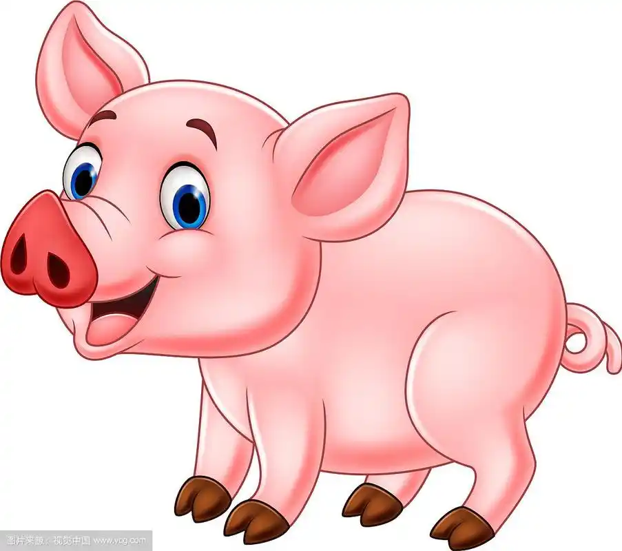 可爱的卡通猪