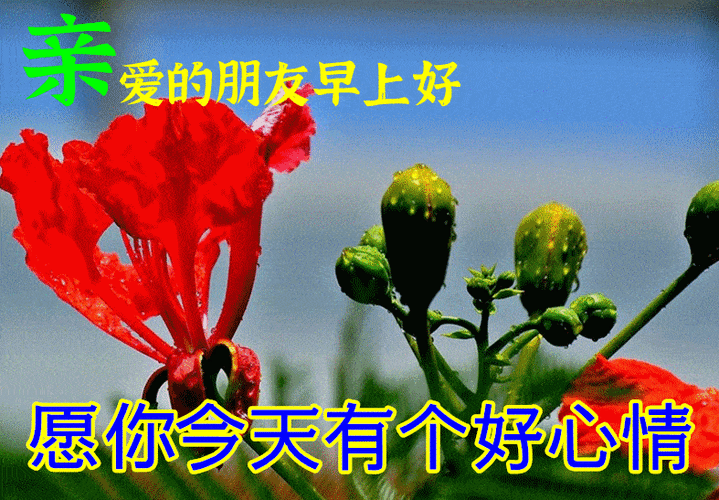 早安吉祥快乐的日子最甜祝你心中装满快乐早安