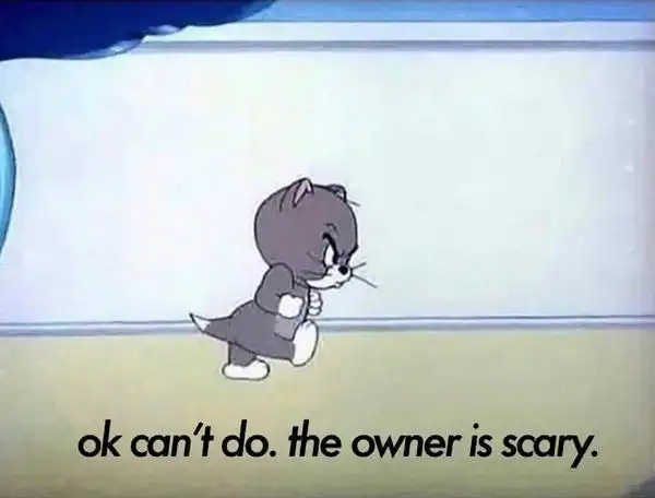 uu们有没有英文的表情包鸭