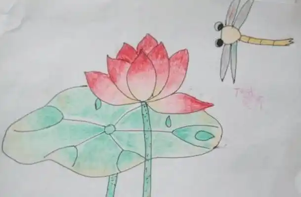 荷花带蜻蜓简笔画