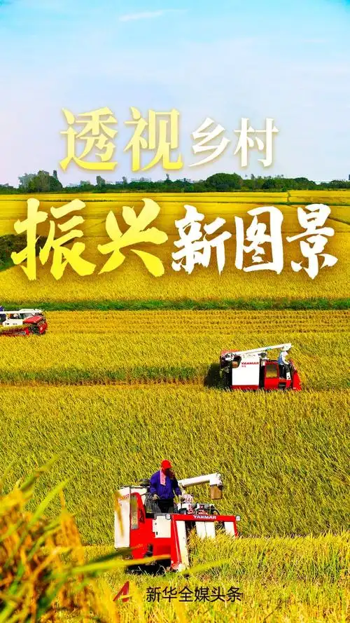 透视乡村振兴新图景