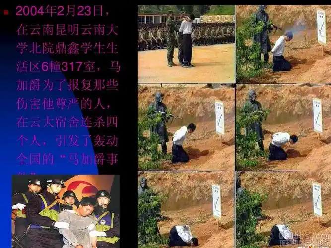 大学生违法犯罪案例ppt