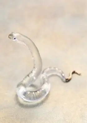 蛇图片蛇图片大全